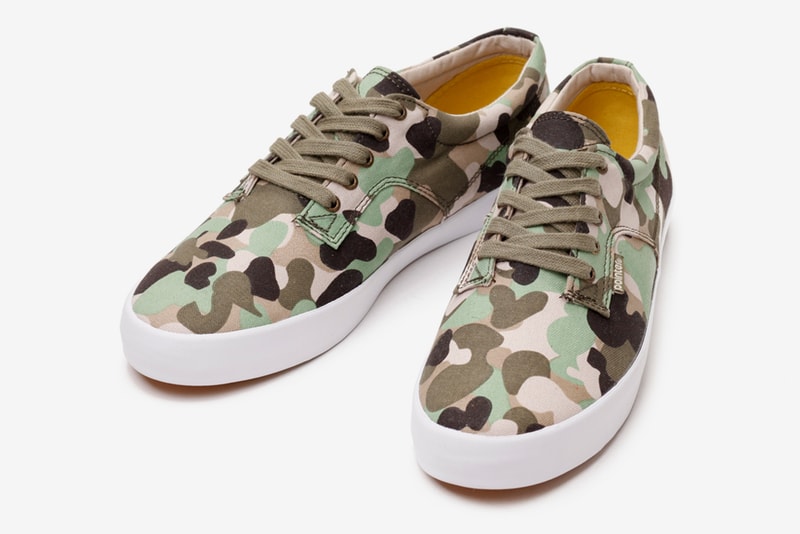 Pointer A.F.D "Sky & Camo"