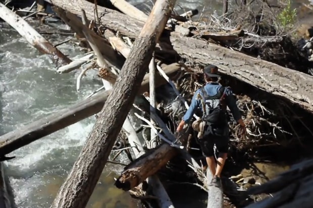 Shwood: Experiment No. 2 - Backcountry Nest