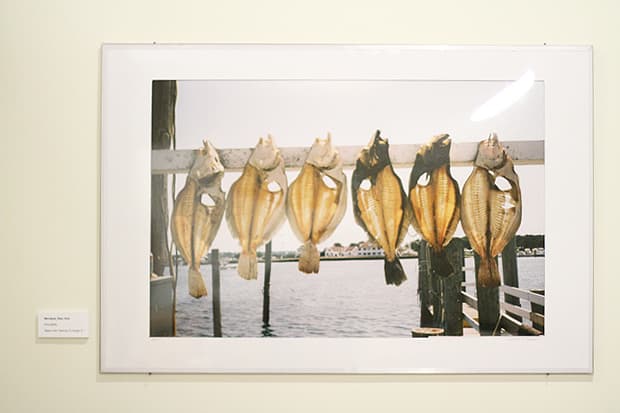 The Human Imagination Presents: The Art, Design and Photography of Rhandy P. Tambio