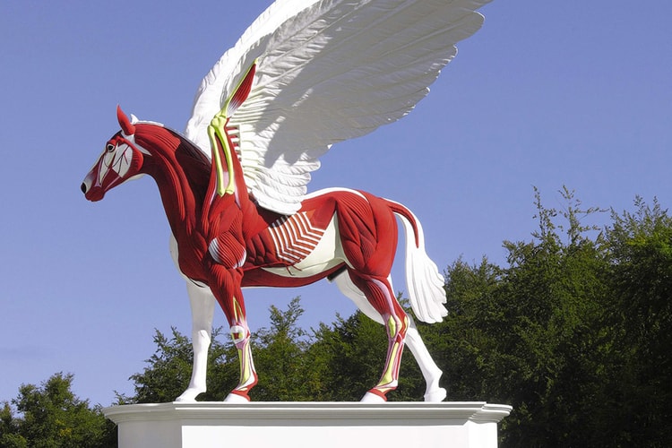 "Beyond Limits" 2011 Exhibition at Chatsworth