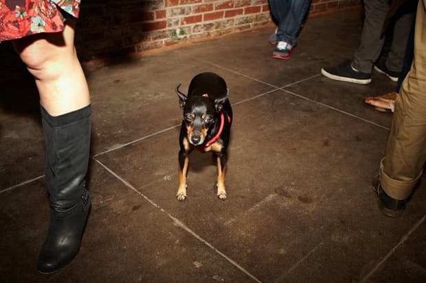 REALITY BITES Exhibition Recap @ POST NO BILLS