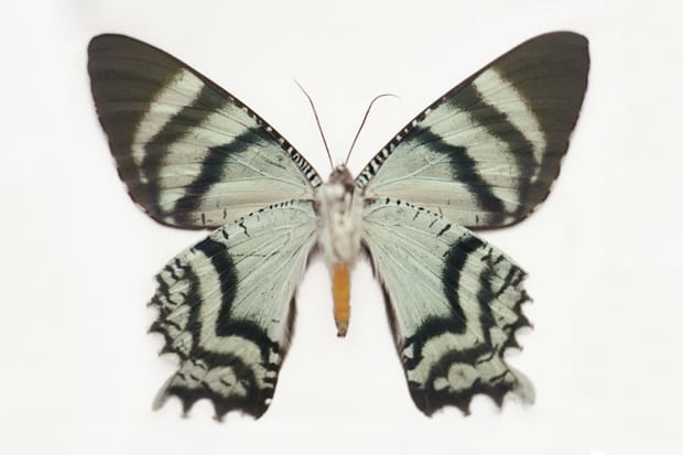 Samuel Bayer "Transitions" Exhibition @ Siren Studios