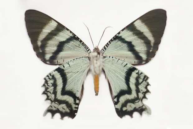 Samuel Bayer "Transitions" Exhibition @ Siren Studios