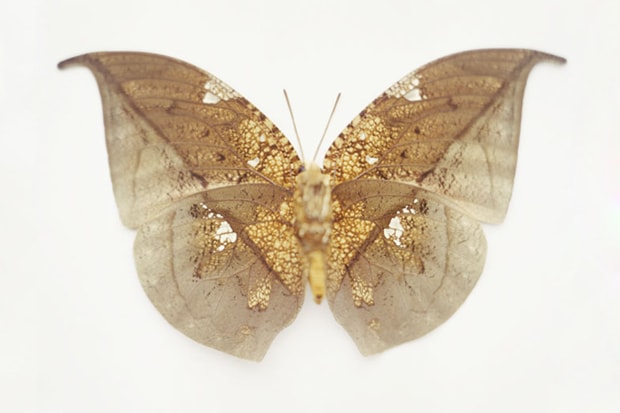 Samuel Bayer "Transitions" Exhibition @ Siren Studios