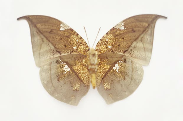 Samuel Bayer "Transitions" Exhibition @ Siren Studios