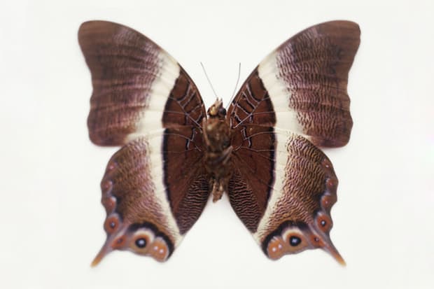 Samuel Bayer "Transitions" Exhibition @ Siren Studios