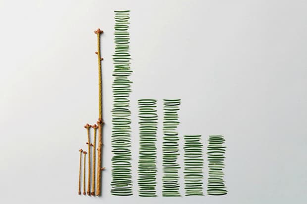 'The Art of Clean Up' by Ursus Wehrli