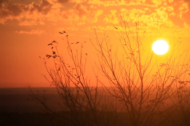 FIELD NOTES COLORS "FIRE SPOTTERS" Edition