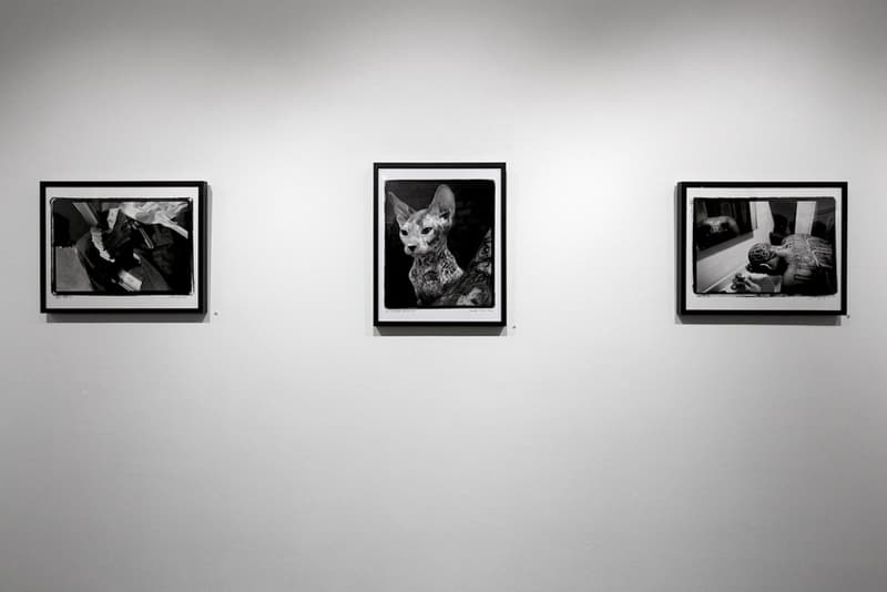 Eriberto and Estevan Oriol "Like Father Like Son" Exhibition @ Carmichael Gallery Recap