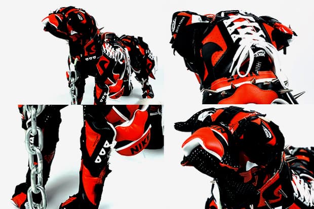 Nike Dog by Vinti Andrews