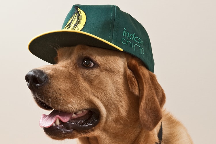 The Chimp Store x indcsn Snapback Cap Collection