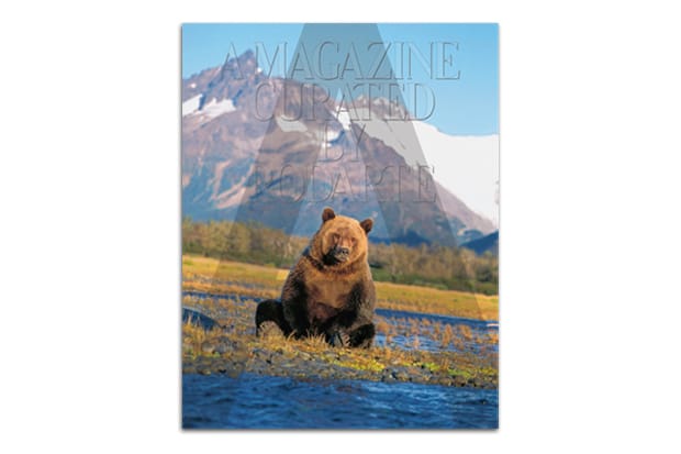 A MAGAZINE Curated by Rodarte