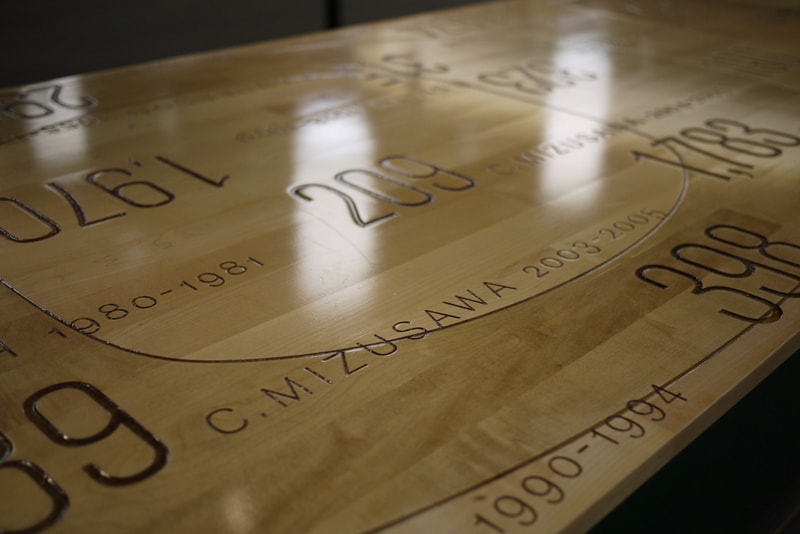 Oregon Ducks: A Tour of Matthew Knight Arena