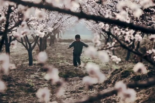 Afghanistan - A Film by Augustin Pictures