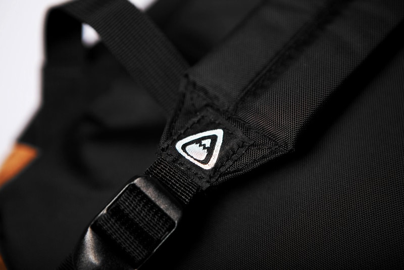Eric Elms x JanSport Backpack