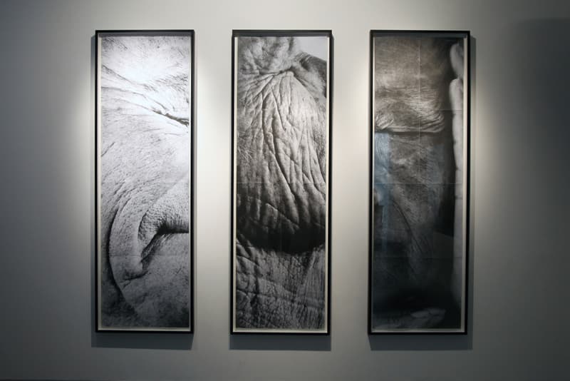 JR "Encrages" Exhibition @ Galerie Perrotin
