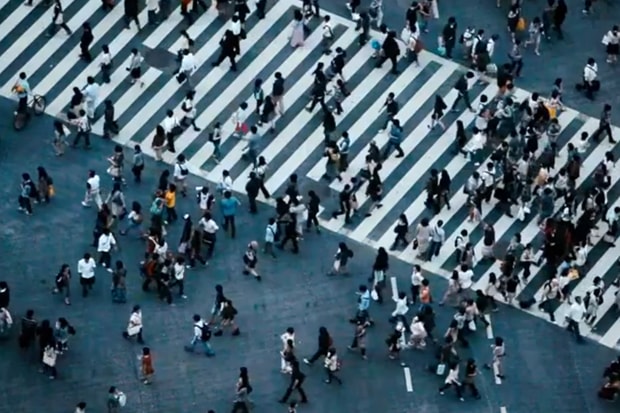 On the Brink: Networked Society