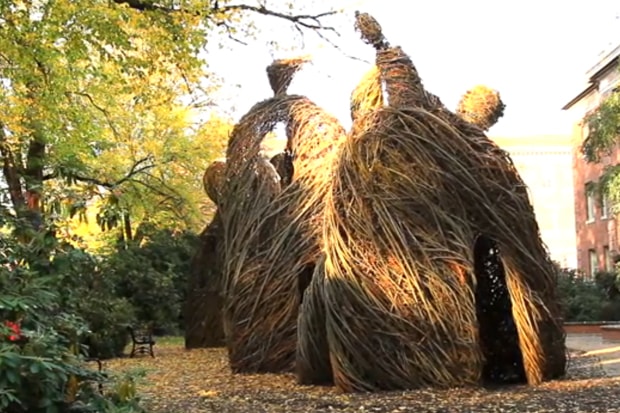 Shwood Presents: Inspired by... Patrick Dougherty