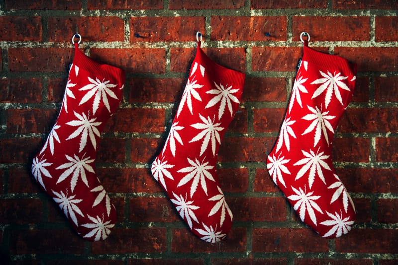 HUF 2011 Holiday Plantlife Christmas Stocking