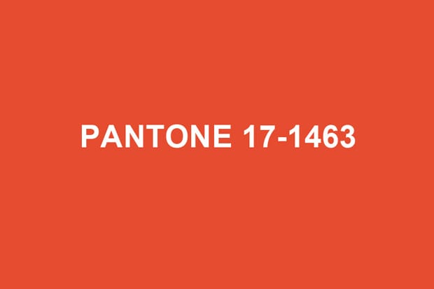Pantone 2012 Color of the Year: Tangerine Tango