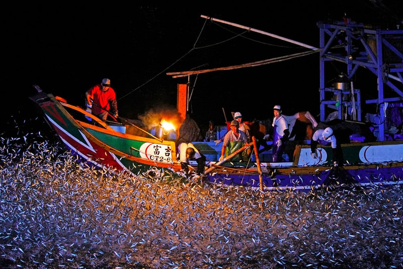 Winners of the 2011 National Geographic Photo Contest