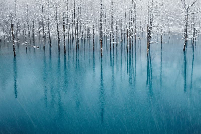 Winners of the 2011 National Geographic Photo Contest