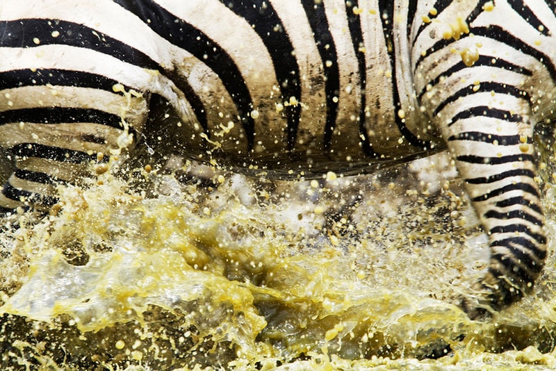 Winners of the 2011 National Geographic Photo Contest
