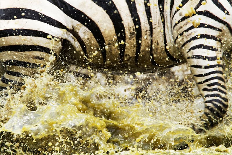 Winners of the 2011 National Geographic Photo Contest