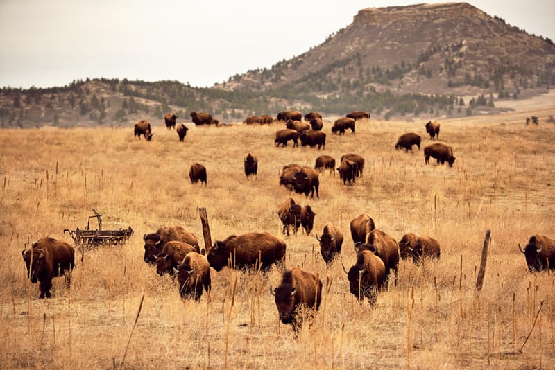 PROCESS: Parabellum Leather Goods