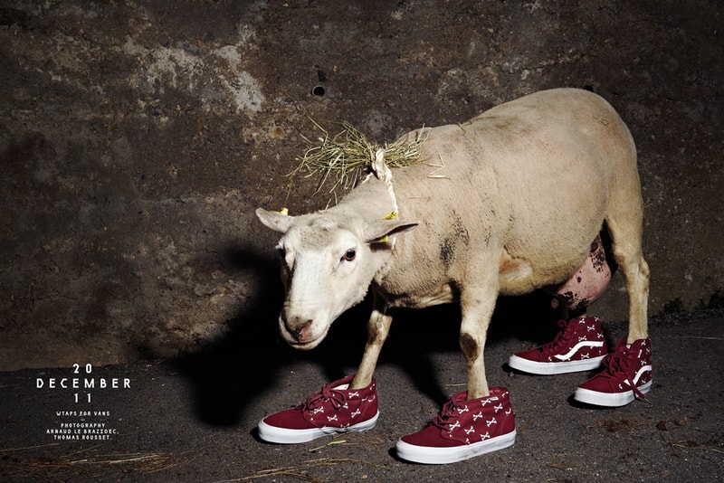 Michael Dupouy: All Gone Dissected