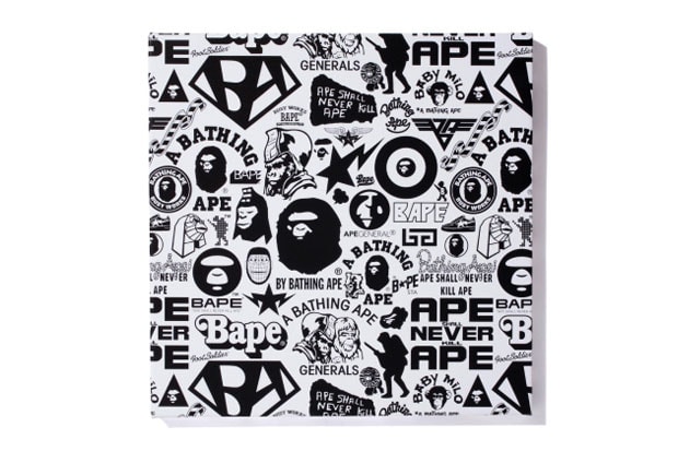 A Bathing Ape 2012 BAPE CANVAS