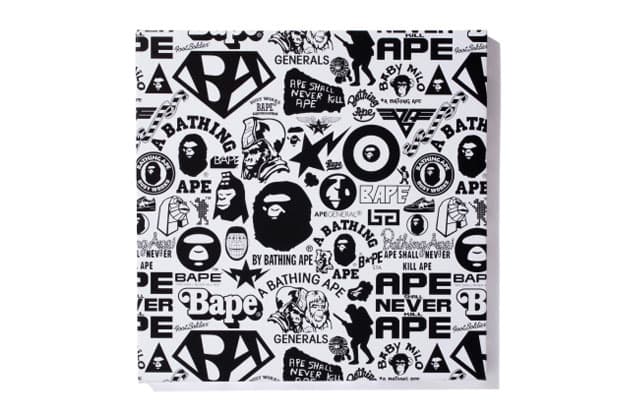 A Bathing Ape 2012 BAPE CANVAS