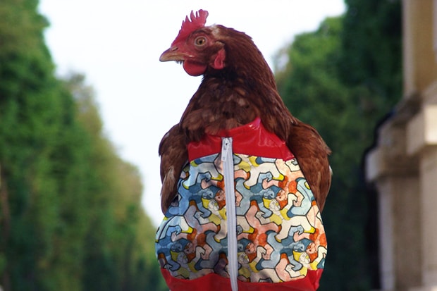 Agi & Sam 2012 Fall/Winter Collection