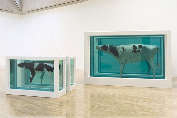 Damien Hirst Retrospective @ Tate Modern