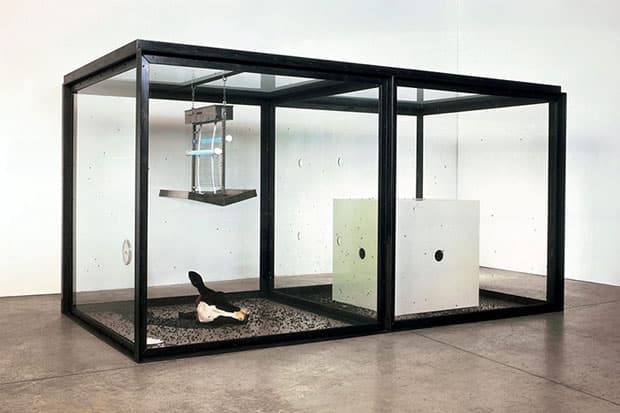Damien Hirst Retrospective @ Tate Modern