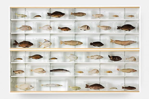 Damien Hirst Retrospective @ Tate Modern