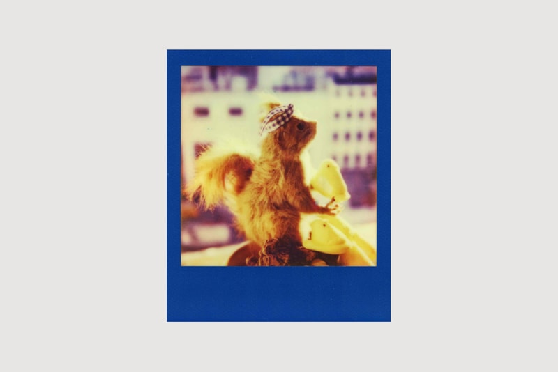 IMPOSSIBLE Film PX 70 Color Shade by NIGO
