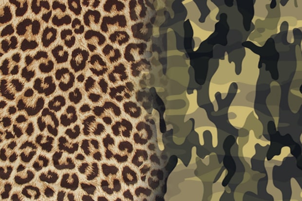 Polls: Cheetah Print vs. Camo