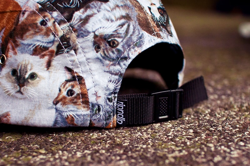 RIP N DIP 2012 Spring/Summer Camp Hats