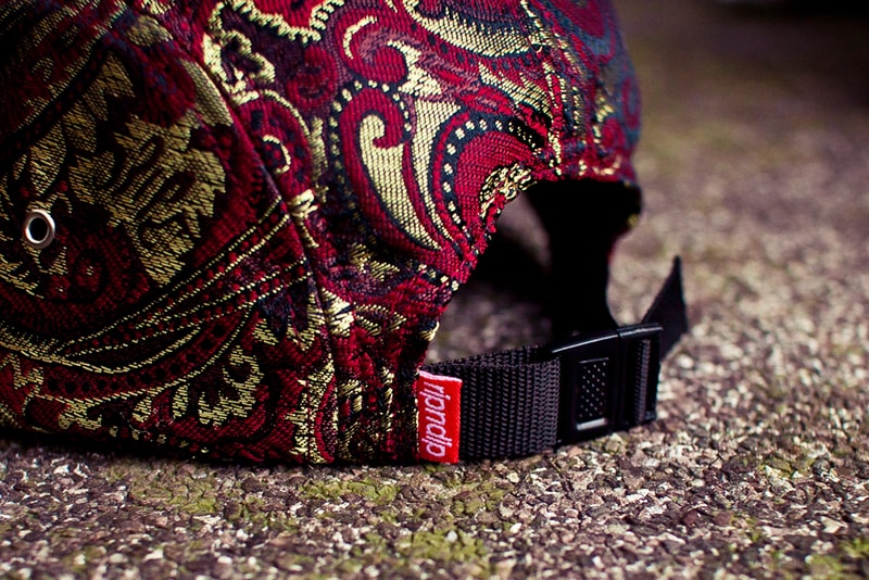 RIP N DIP 2012 Spring/Summer Camp Hats