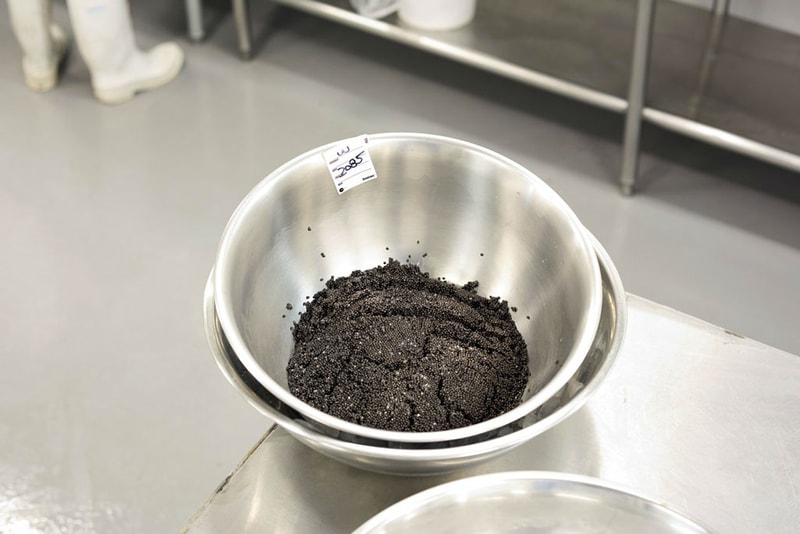 Black Gold: Mote Caviar