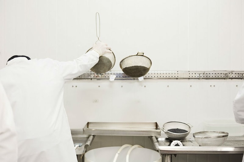 Black Gold: Mote Caviar