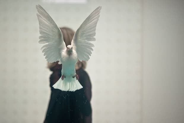 Damien Hirst Retrospective @ Tate Modern Recap
