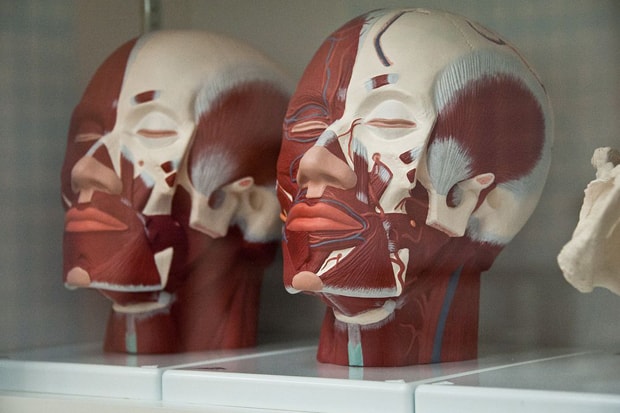Damien Hirst Retrospective @ Tate Modern Recap