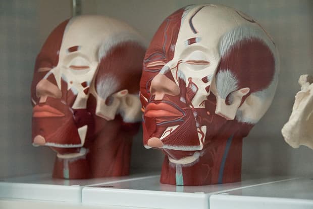 Damien Hirst Retrospective @ Tate Modern Recap
