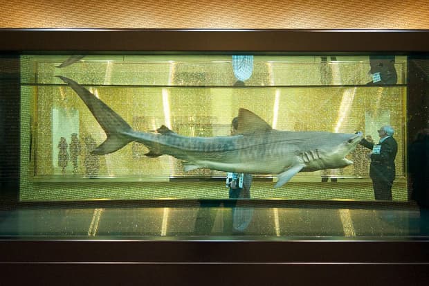 Damien Hirst Retrospective @ Tate Modern Recap