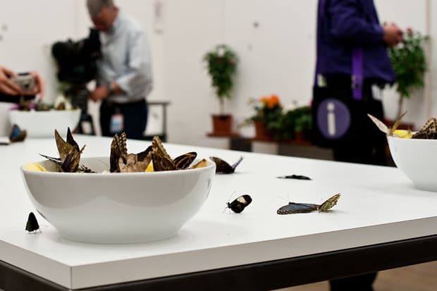 Damien Hirst Retrospective @ Tate Modern Recap