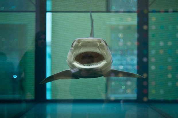 Damien Hirst Retrospective @ Tate Modern Recap