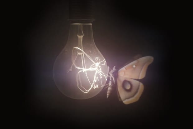 MADE: FUTURE SELF - Invitation Video