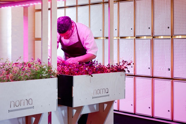 Noma FoodLab by 3XN